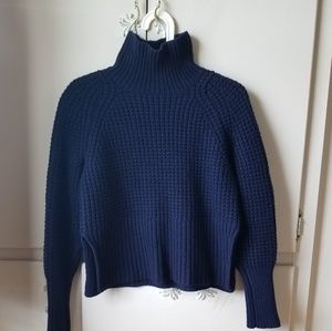 Everlane The Waffle Knit Turtleneck